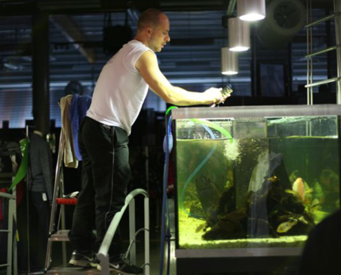 entretien aquarium