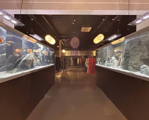 Aquarium décoratif dans un magasin de mode