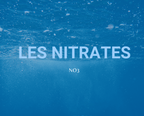 Les nitrates dans votre aquarium