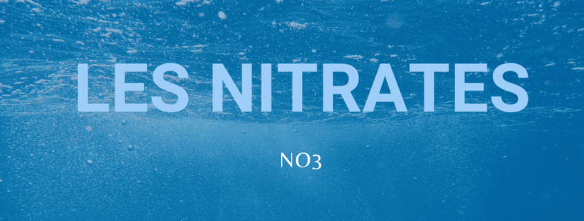 Les nitrates dans votre aquarium