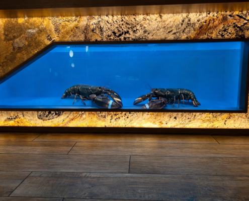 homarium 1000litres entretenu par locafish