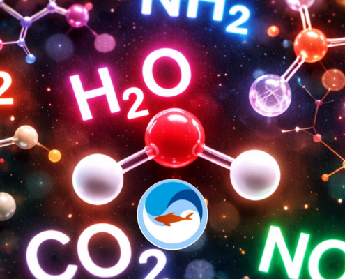 comment cycler son aquarium