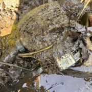 pompe oase encrassée