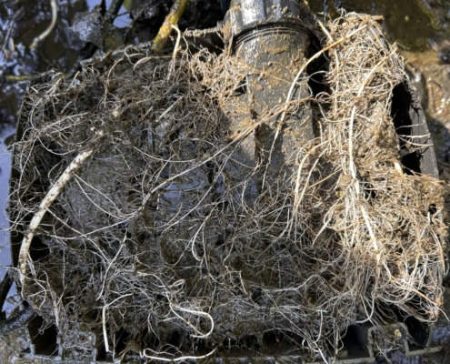 pompose oase aquamax encrassée